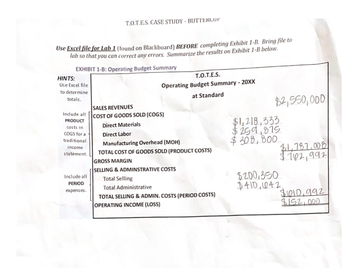 T.O.T.E.S Case Study Lab 2 for Accounting. As much as I would