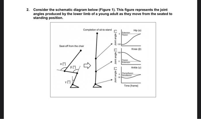 The questions will refer to the image Consider the schematic diagram below