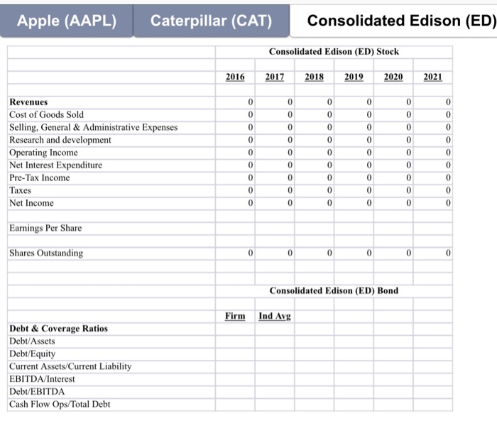 company, which will include a portfolio analysis template that you will use