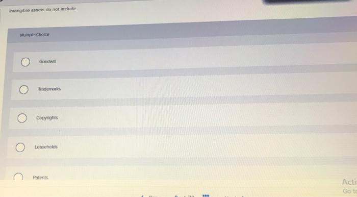 tell me as fast as u can Intangible assets do not include