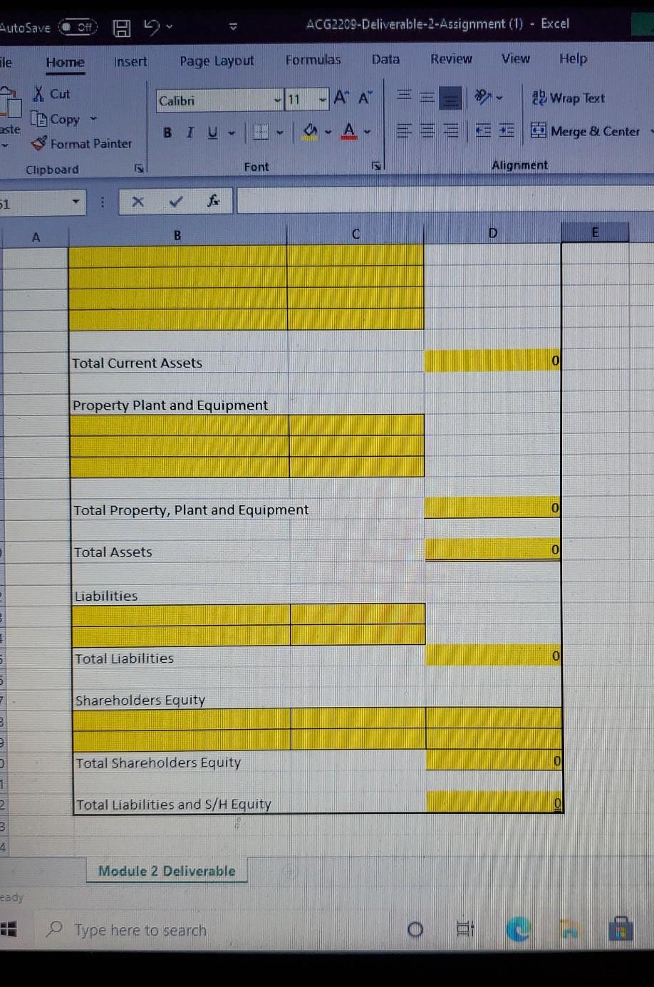 Total Property, plant and Equipment Total Assets Liabilities Total Liabilities Shareholders Equity
