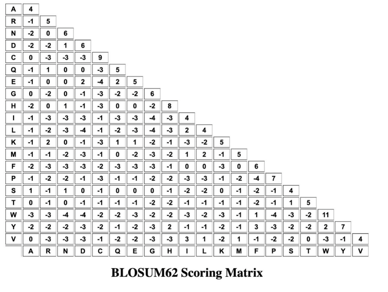 Receptor, S3=Glucocorticoid Receptor, S4=Mineralocorticoid Receptor, S5=Estrogen Receptor. Part 1: Reconstruct the ancestral
