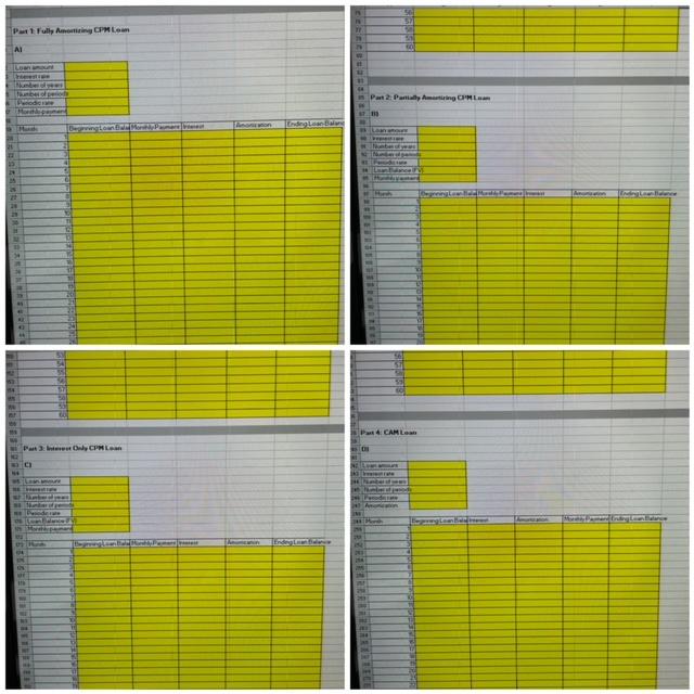 Amortization Schedules This project requires you to create an amortization schedule for