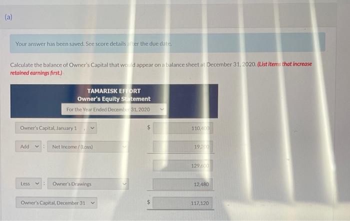 long-term fiability List current assets in order of liquidity) TAMARISK EFFORT Balance