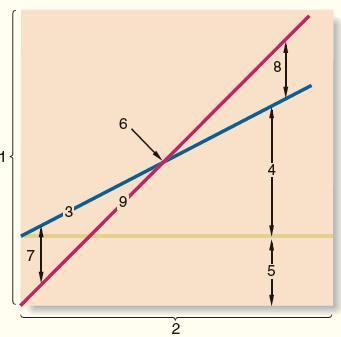 A CVP graph such as the one shown below is a useful