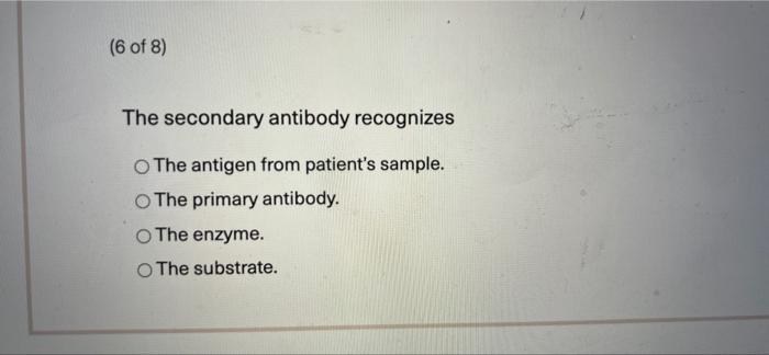 Indirect ELISA. o Western blot. None of the above. ho Covo Apewar
