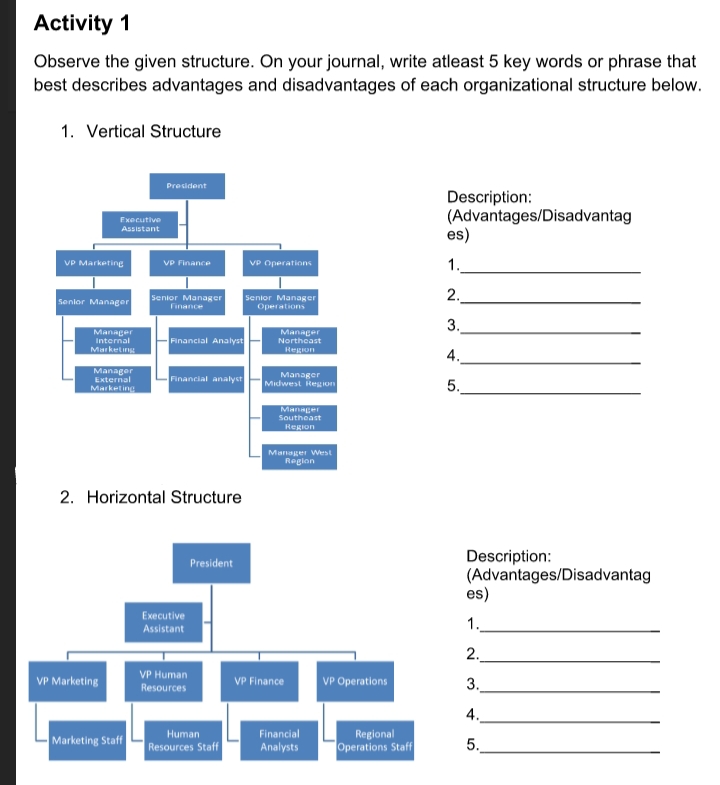 Organization & Management Activity 1 Observe the given structure. On your journal,
