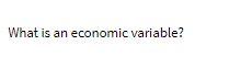  What is an economic variable