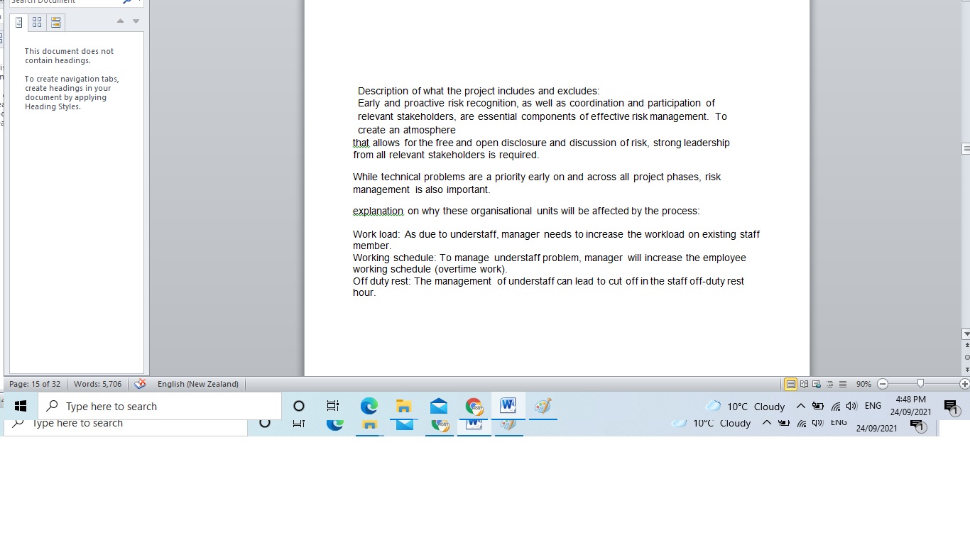 management process Developed a scope for their Risk Management Plan which included: