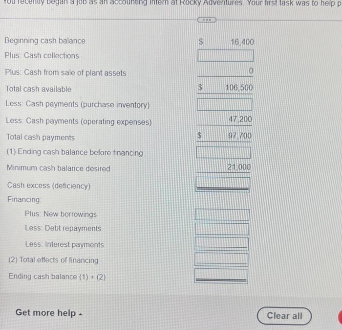 a job as an accounting intern at Rocky Adventures Your first task