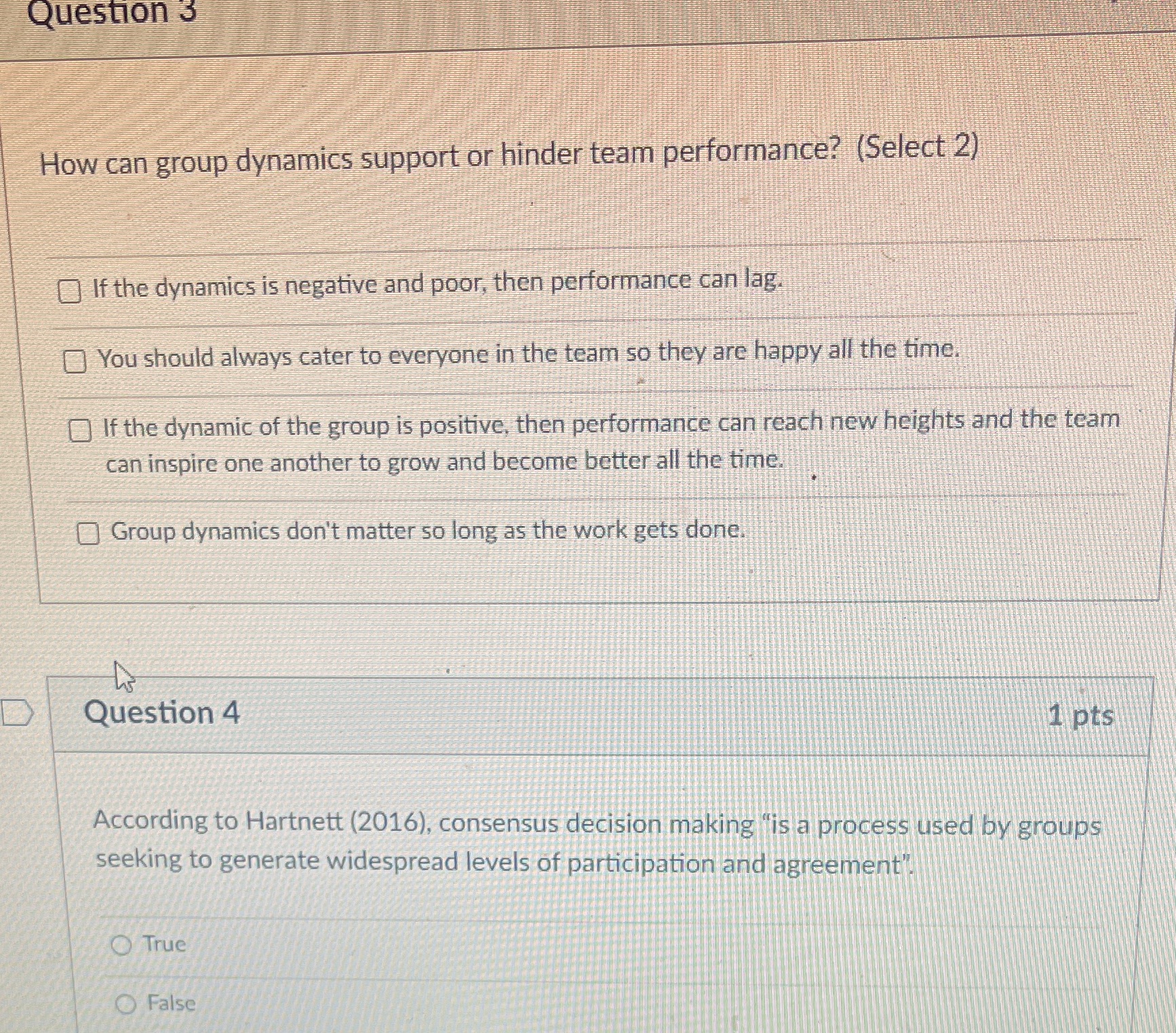 Question 3 How can group dynamics support or hinder team performance?