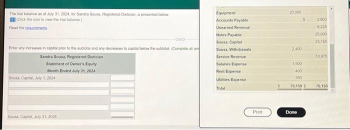 your time The trial balance as of July 31, 2024. for Sandra