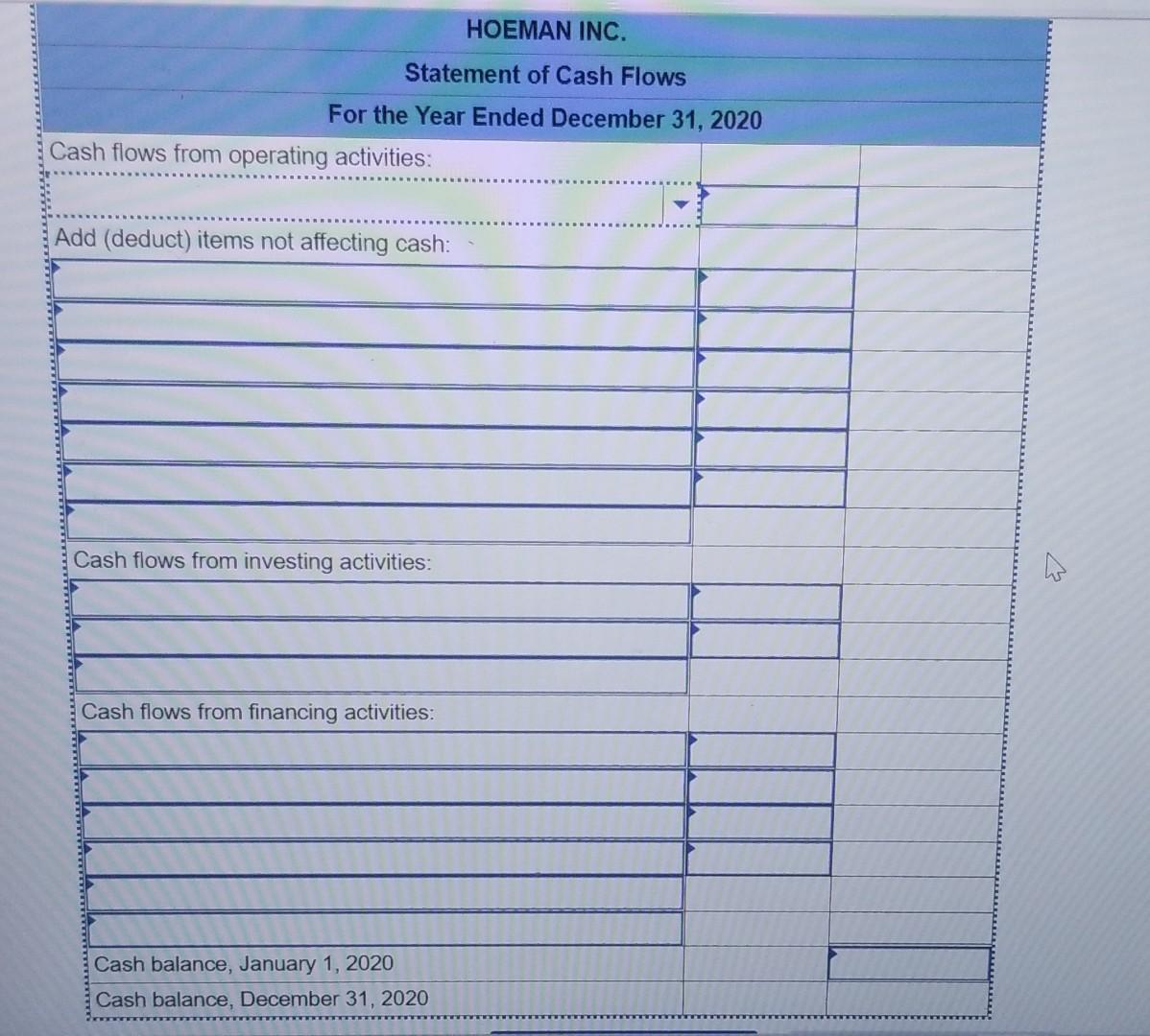 Hoeman Inc. at December 31, 2020, together with comparative data for the