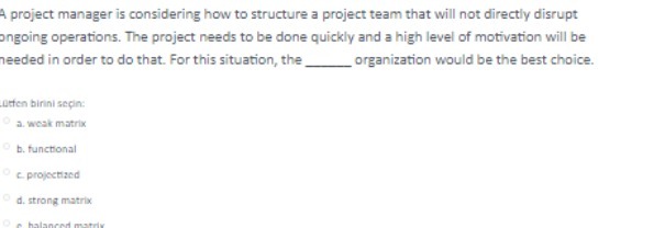 A project manager is considering how to structure a project team
