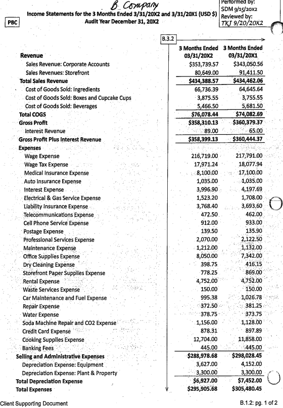 you are going to review and apply the audit process planning and