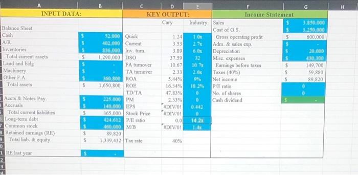 you to help her prepare a roport that evaluates the company's financial