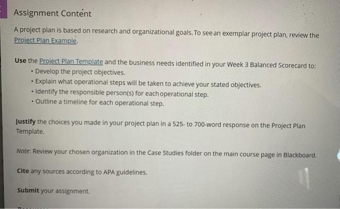  My company is Amazon. Assignment Content A project plan is based