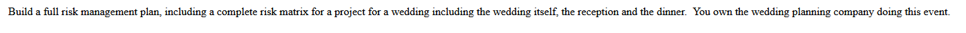 Build a full risk management plan, including a complete risk matrix for