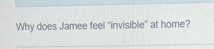  from pretty ugly book. short answer Why does Jamee feel "invisible"