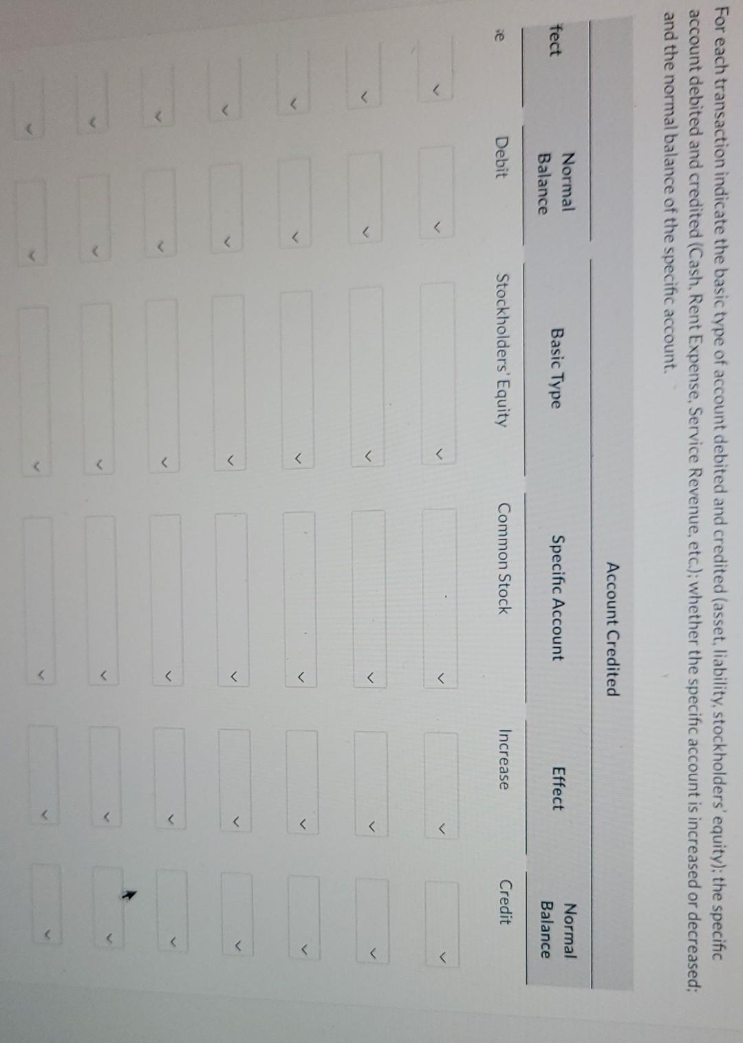 month of business, are as follows. 1. Issued stock to investors for