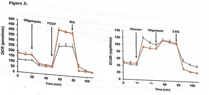 are very clear use the figures to answer the following Questions A-H
