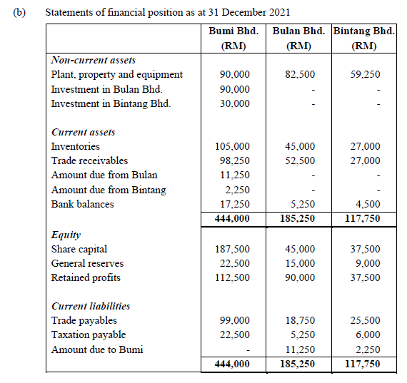 the financial statements for the year ended 31 December 2021 for Bumi