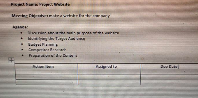 Project Name: Project Website Meeting Objective: make a website for the
