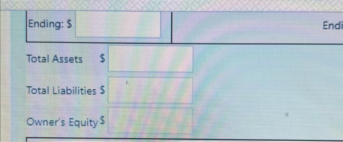 of $1,200. 3) Purchased store equipment worth $3,700 with cash. 4) Incurred