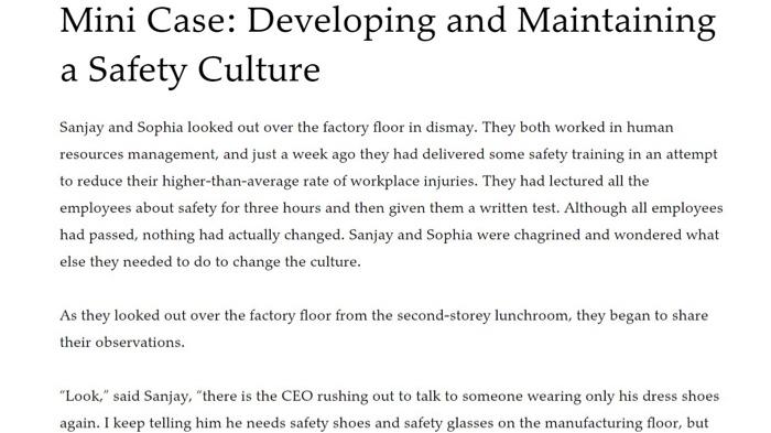 Hello please help me with this mini case about writting the problem