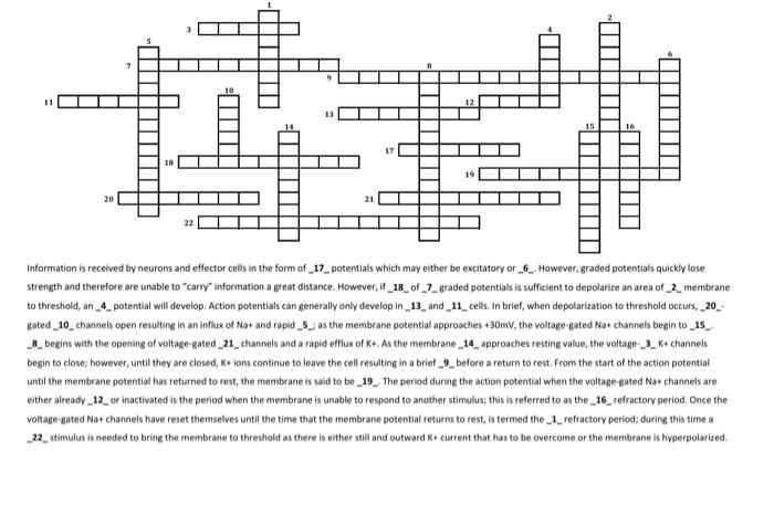 4: movement of membrane potential beyond resting value 7: finger-like extension that