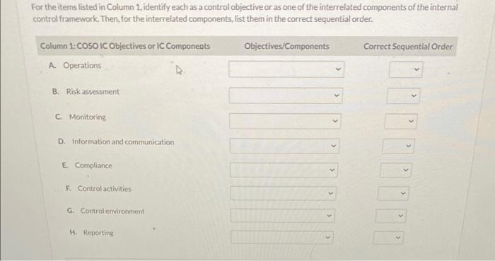 control objective or as one of the interrelated components of the internal