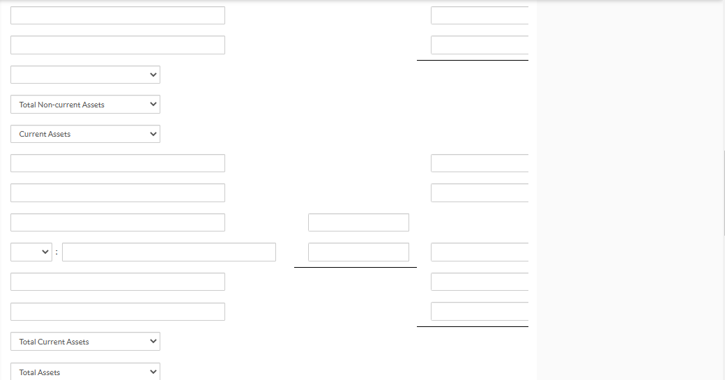 financial position given the available information. Assume that the accumulated depreciation balance