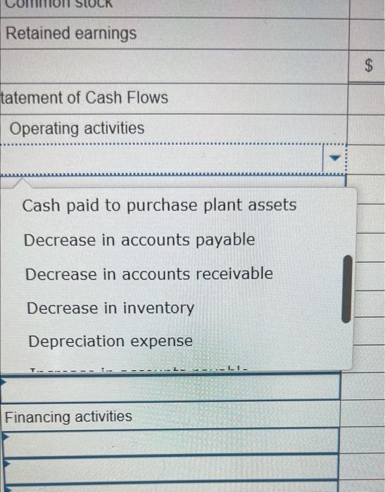 statement of cash flows is not required.) (Enter all amounts as positive