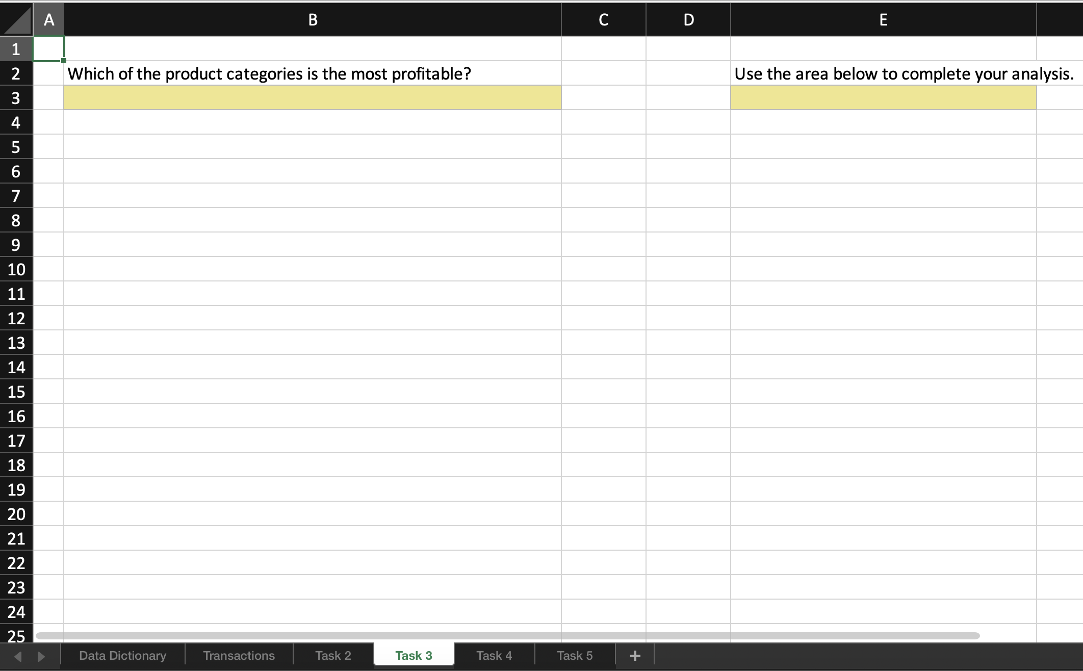 sports gear equipment company into a national extreme sports brand with operations