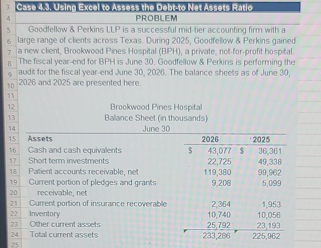  Case 4.3. Using Excel to Assess the Debteto Net Assets Ratio