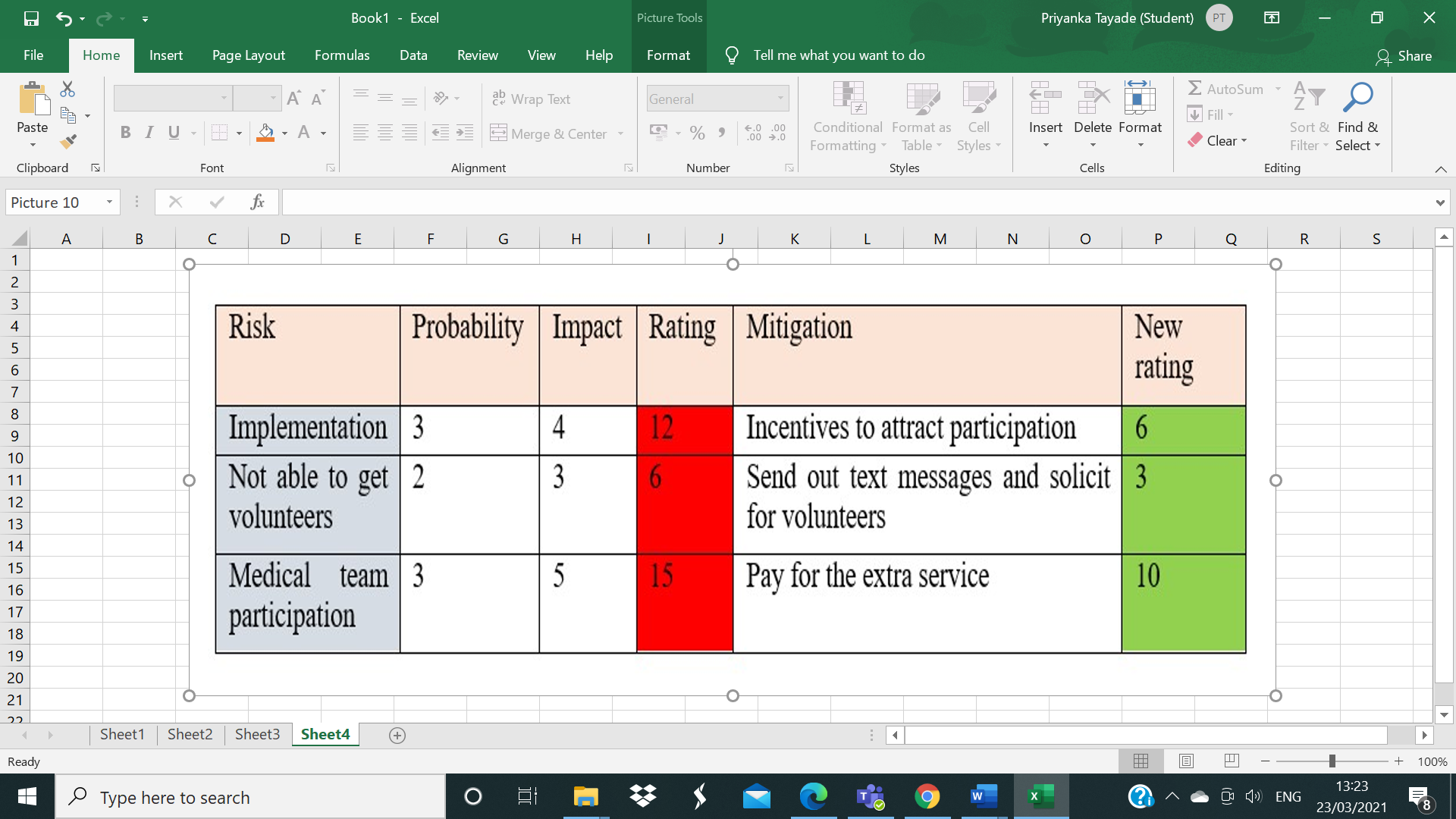 and a 'project schedule' (Gantt chart) with descriptions of deliverables at each