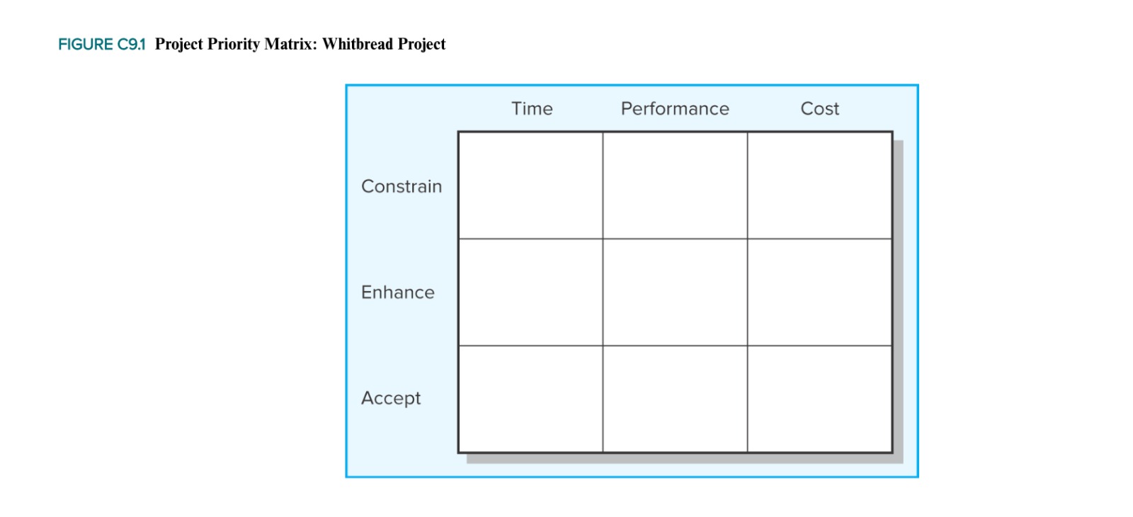 for the project and fill in the project priority matrix. Briefly explain