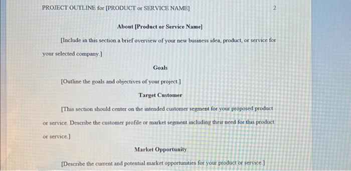 outlines that include careful consideration of a company's mission, opportunities, and risks