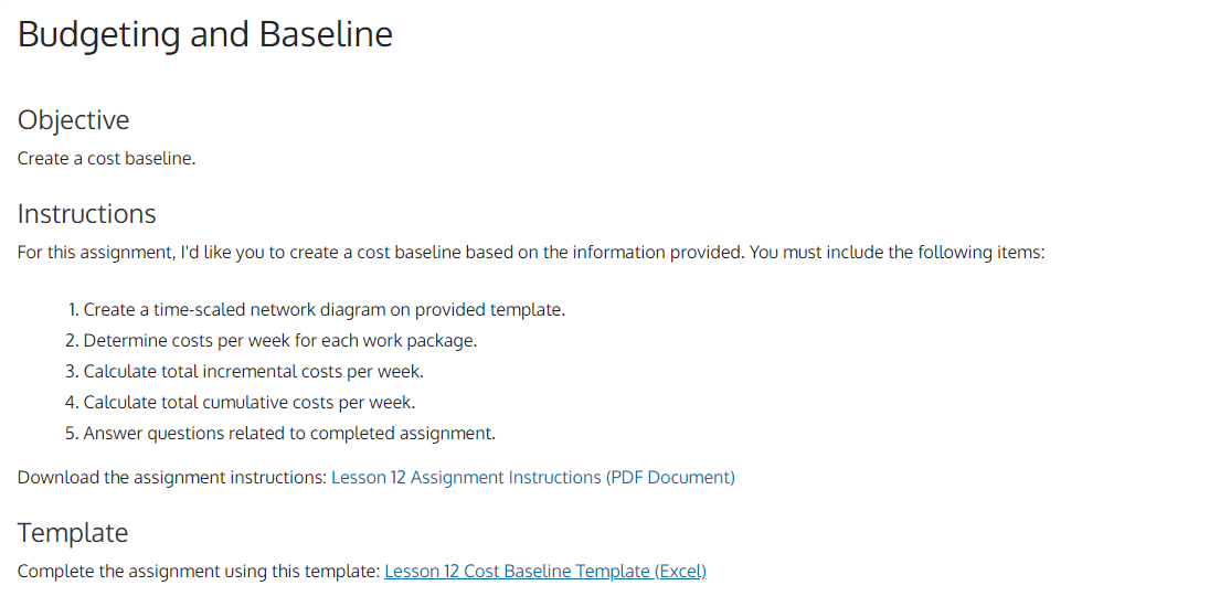 please help me with this assignment, thanks! :) Total project budget is: