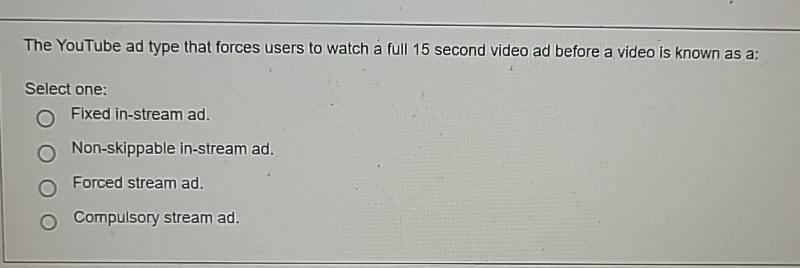  The YouTube ad type that forces users to watch a full