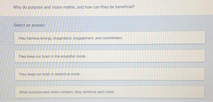 I need the answer Why do purpose and vision matter, and how