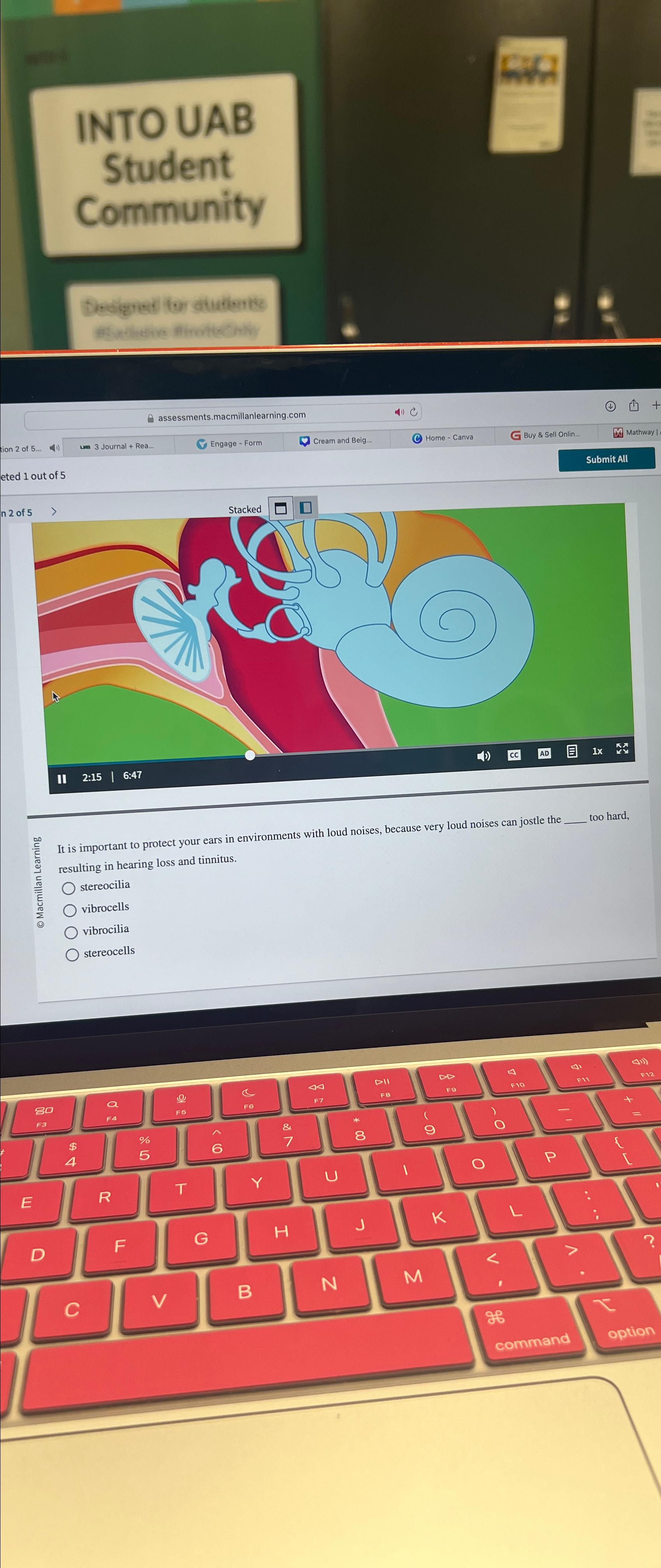  INTO UAB Student Community assessments.macmillanlearning.com 0 (4)+ Mathway Submit All important