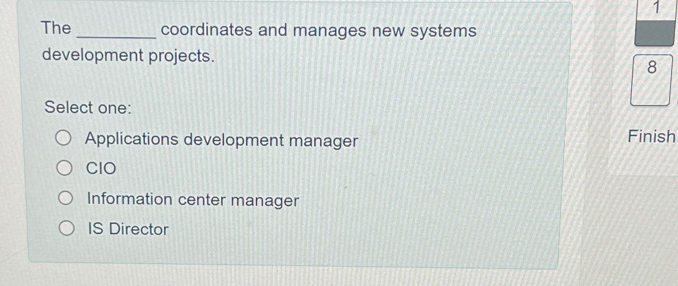  The coordinates and manages new systems development projects. Select one: Applications