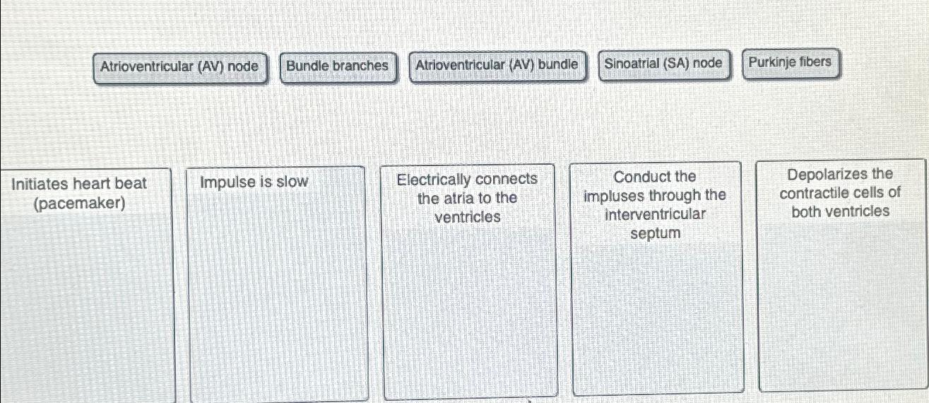  Match the action you the part. 
