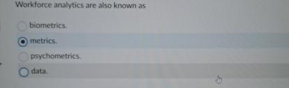  Workforce analytics are also known as biometrics. metrics. psychometrics. data. 