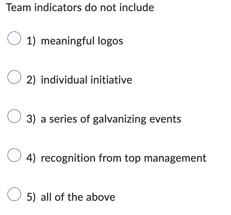  Team indicators do not include meaningful logos individual initiative a series