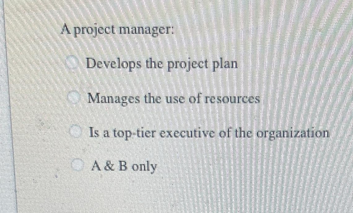  A project manager: Develops the project plan Manages the use of