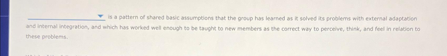  is a pattern of shared basic assumptions that the group has