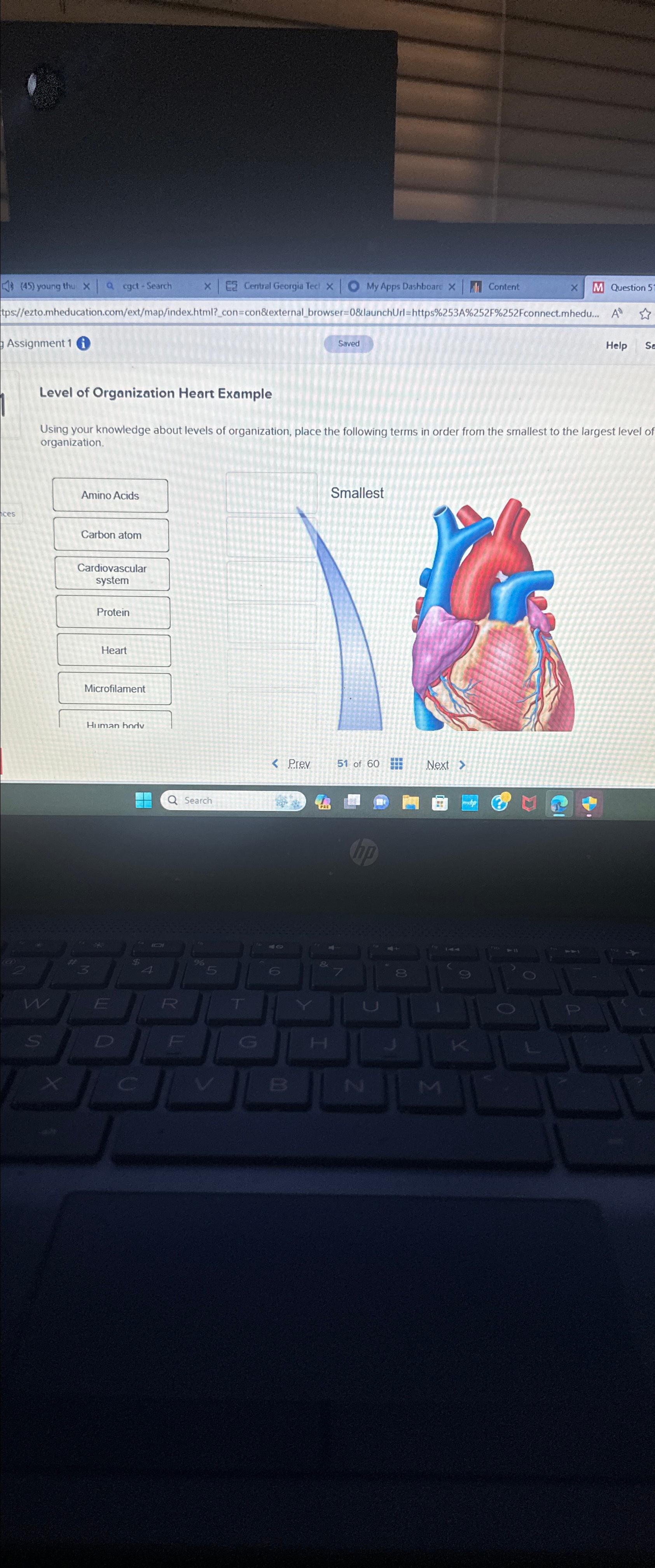  Assignment 1 i Level of Organization Heart Example Using your knowledge