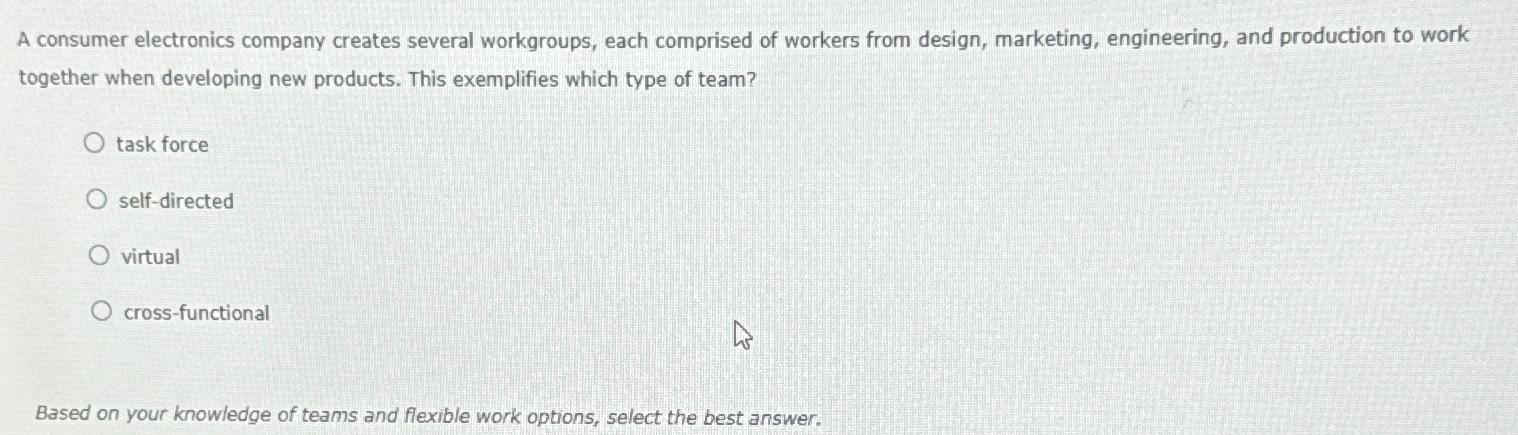  A consumer electronics company creates several workgroups, each comprised of workers